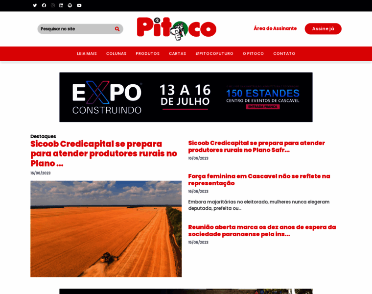 Pitoco.com.br thumbnail