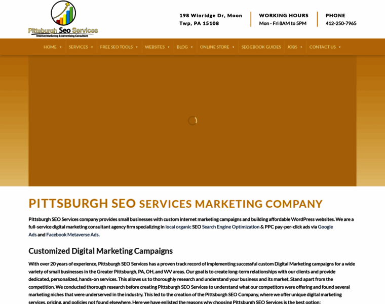 Pittsburghseoservices.com thumbnail