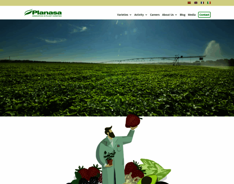 Planasa.com thumbnail