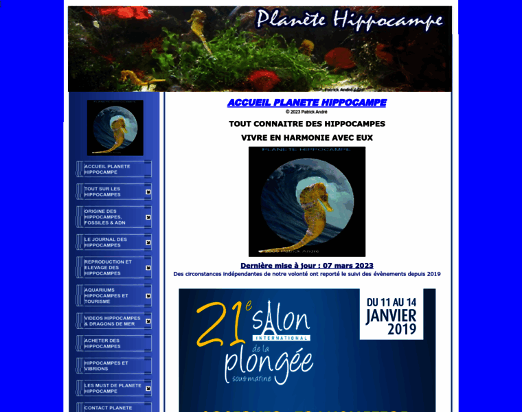 Planetehippocampe.org thumbnail