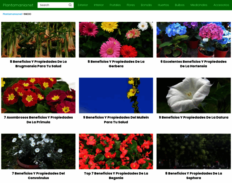 Plantamania.net thumbnail