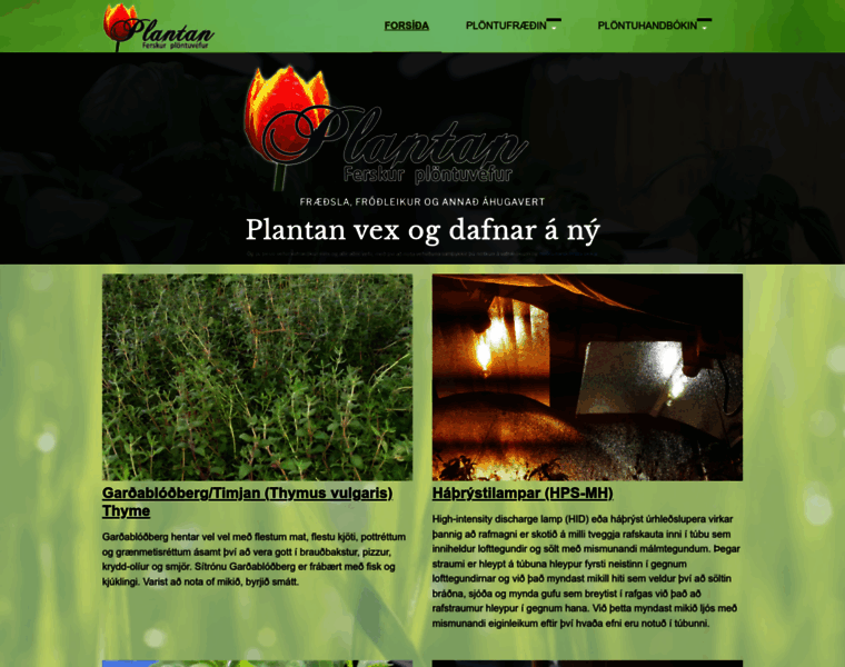 Plantan.is thumbnail