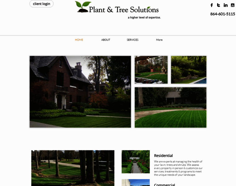 Plantandtreesolutions.com thumbnail