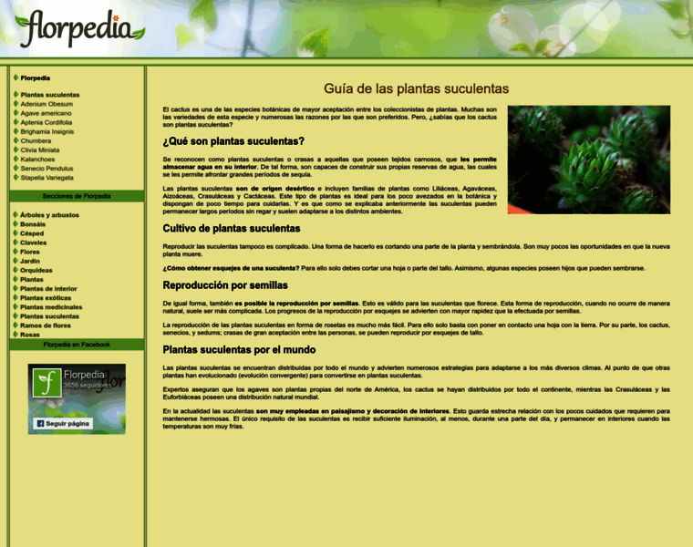 Plantas-suculentas.florpedia.com thumbnail