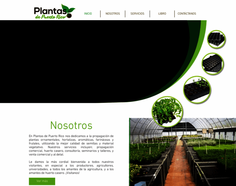 Plantasdepuertorico.com thumbnail
