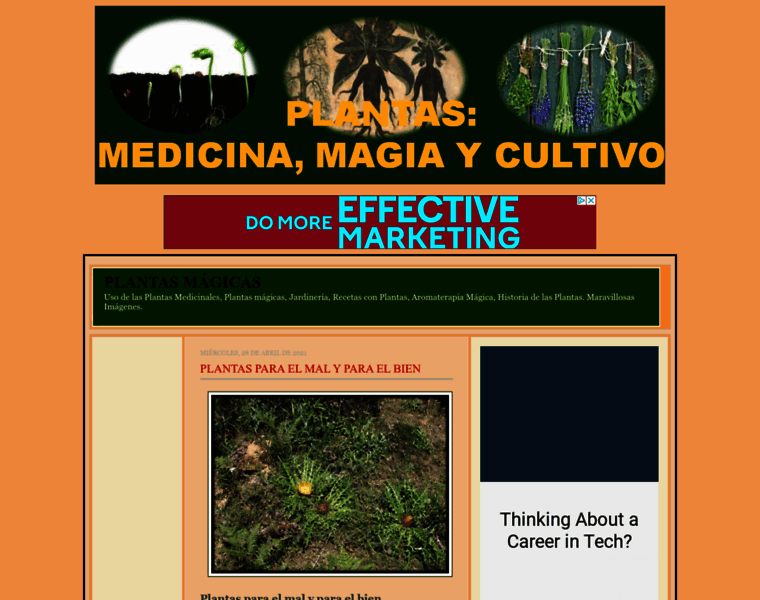 Plantasmagicas.com thumbnail