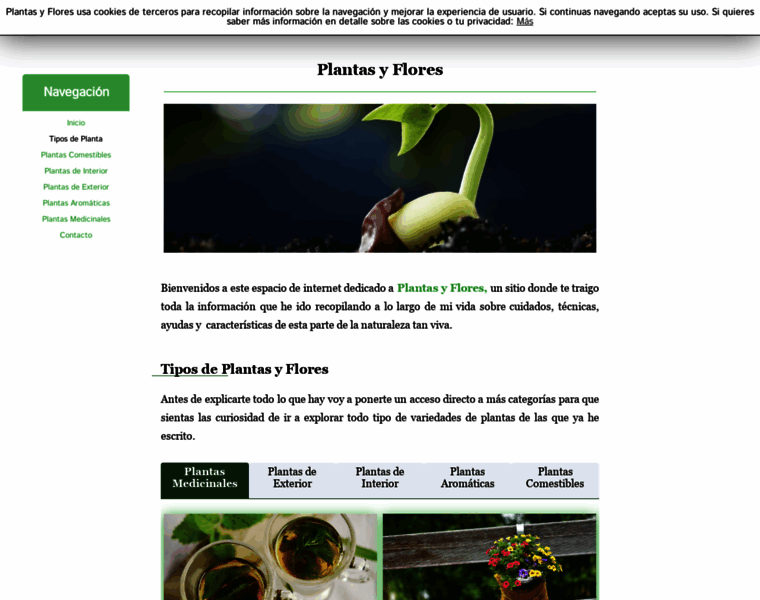 Plantasyflores.online thumbnail