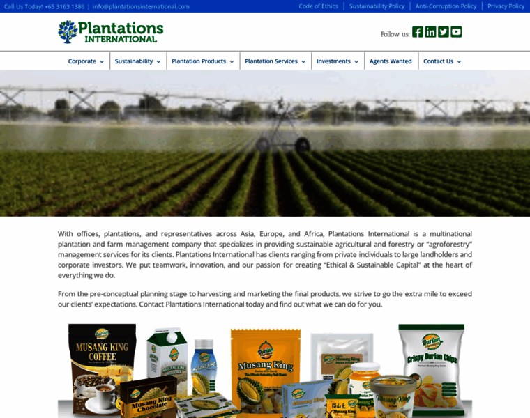 Plantationsinternational.com thumbnail