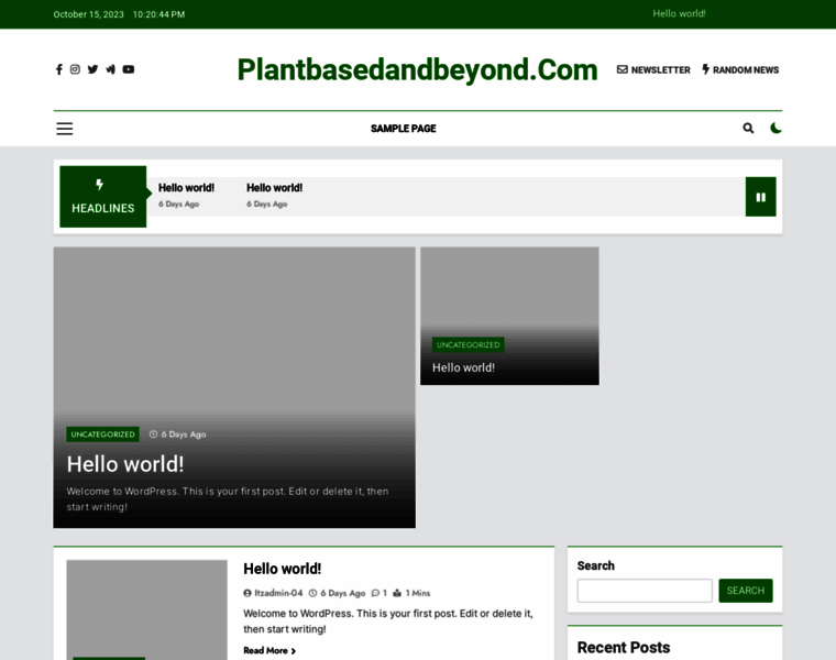 Plantbasedandbeyond.com thumbnail