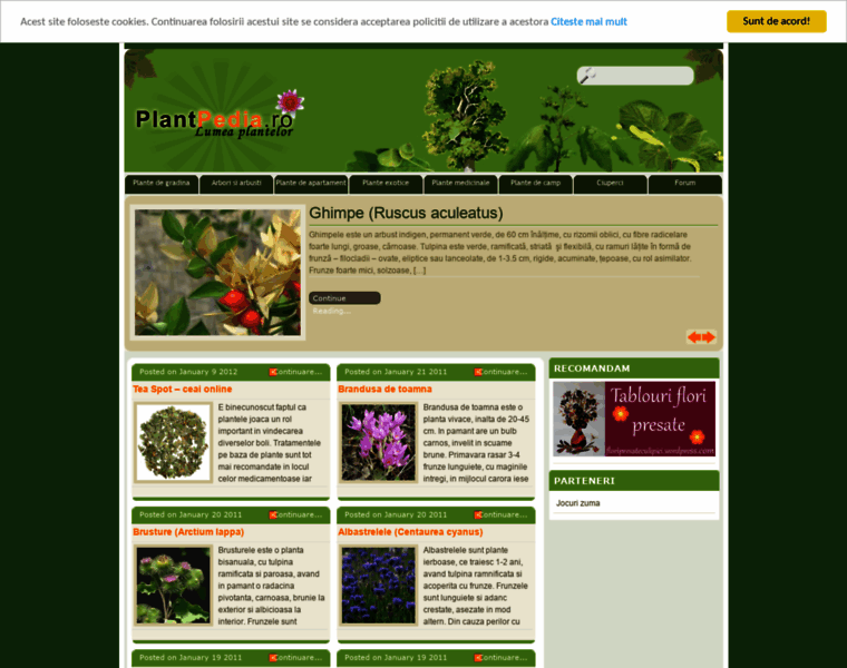Plantpedia.ro thumbnail