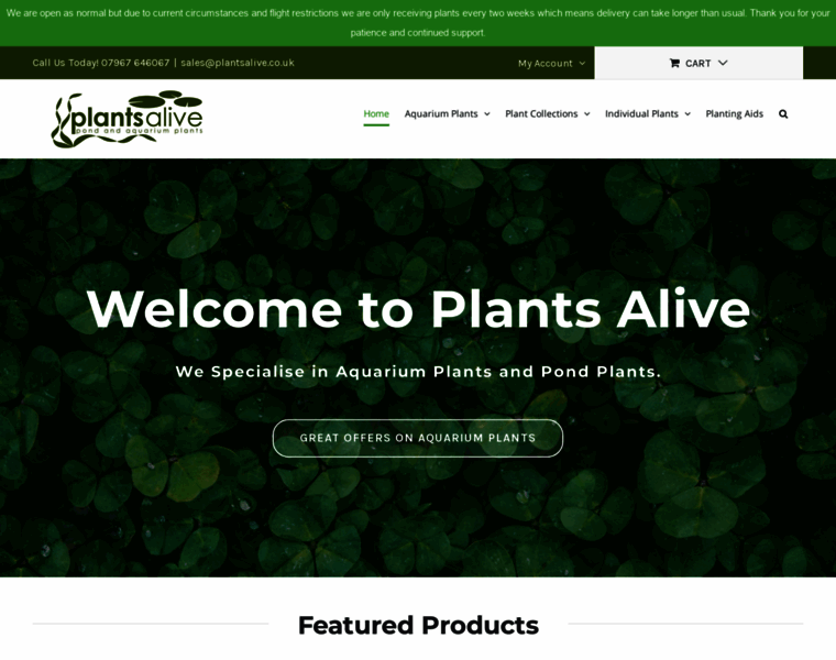 Plantsalive.co.uk thumbnail