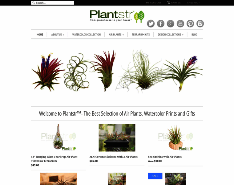 Plantstr.net thumbnail