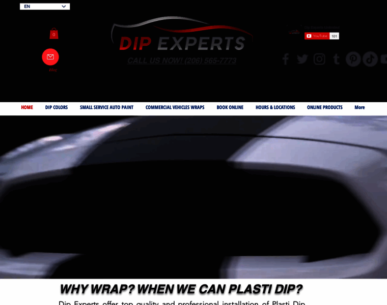 Plastidipexperts.com thumbnail