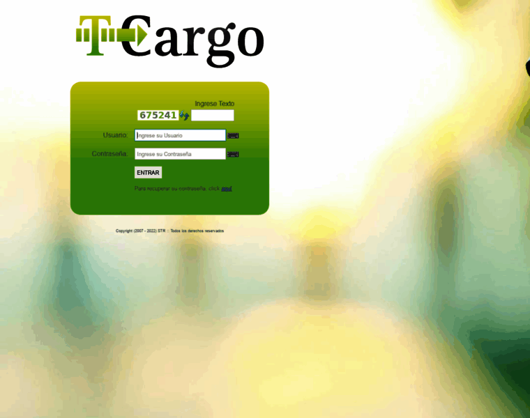 Plataforma.tcargo.com.ar thumbnail