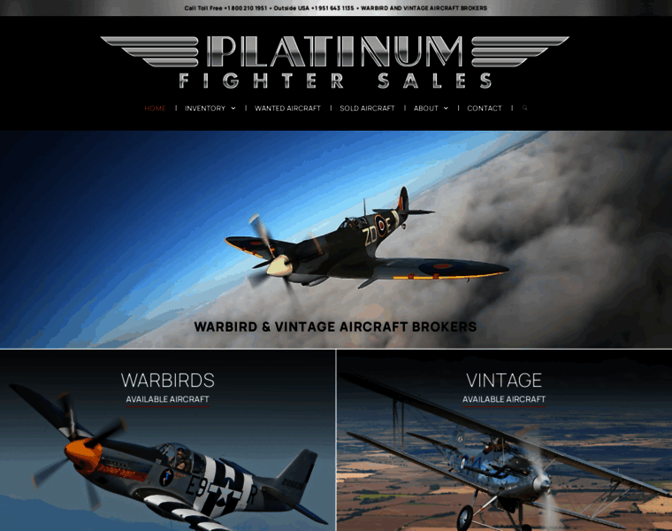 Platinumfighters.com thumbnail