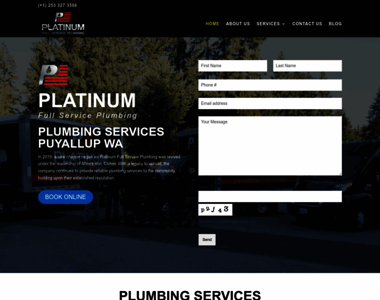 Platinumfullserviceplumbing.com thumbnail
