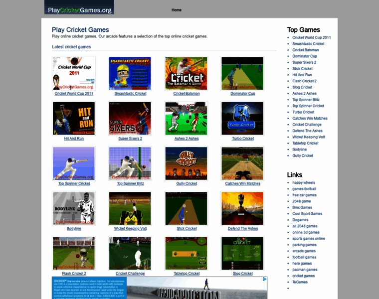 Playcricketgames.org thumbnail