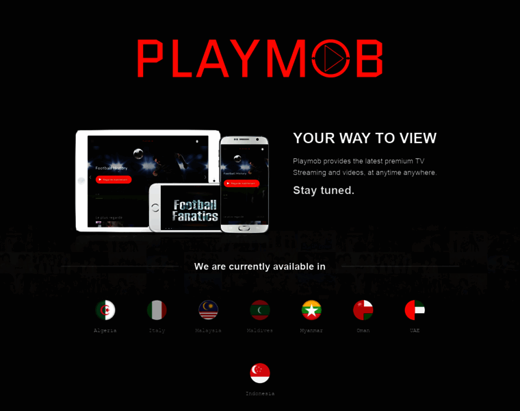 Playmob.tv thumbnail