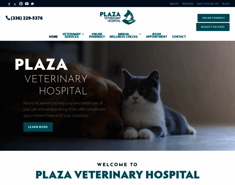 Plazavethospital.com thumbnail