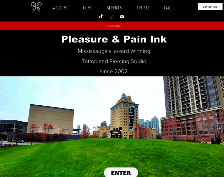 Pleasureandpainink.ca thumbnail