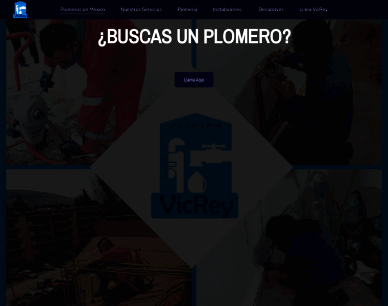 Plomerosdemexico.mx thumbnail