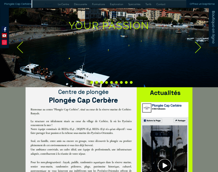Plongee-cap-cerbere.com thumbnail