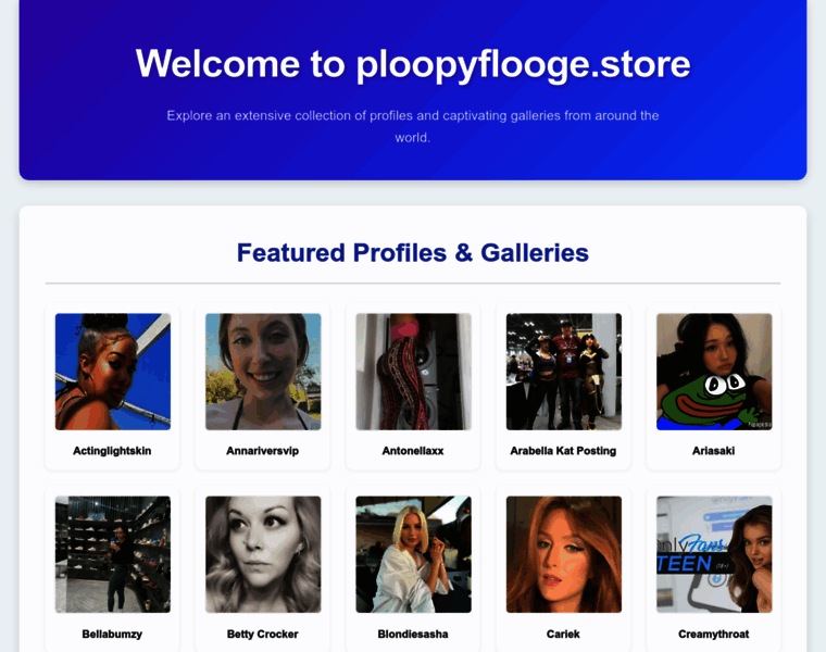 Ploopyflooge.store thumbnail