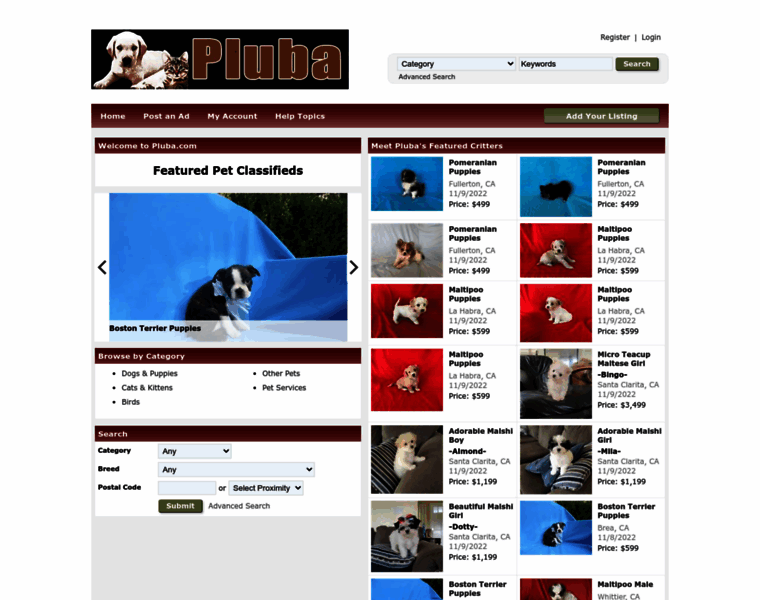 Pluba.com thumbnail