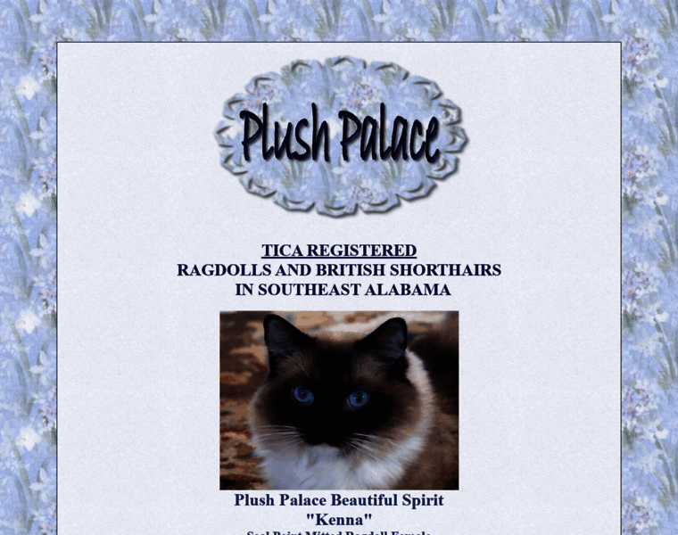Plushpalacecats.com thumbnail