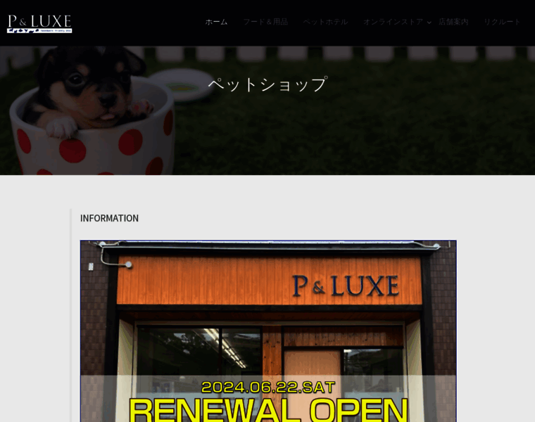 Pluxe.net thumbnail Pluxe.net thumbnail