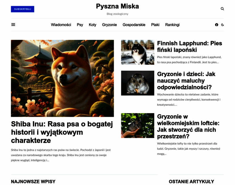 Pmiska.pl thumbnail
