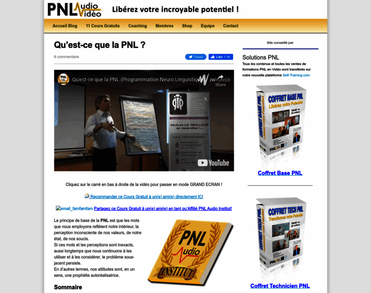 Pnl-audio-institut.com thumbnail