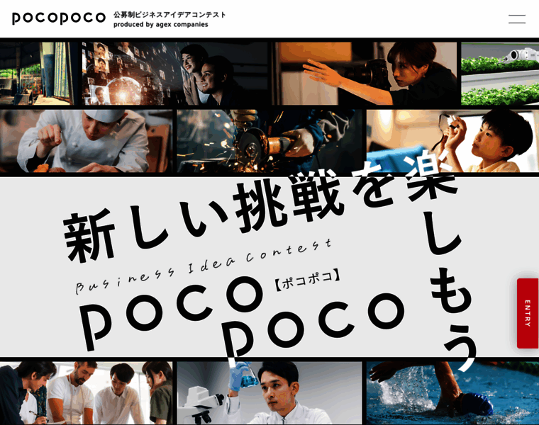 Pocopoco-businessidea.com thumbnail