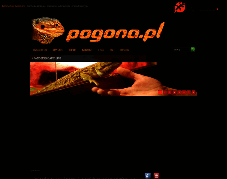 Pogona.pl thumbnail