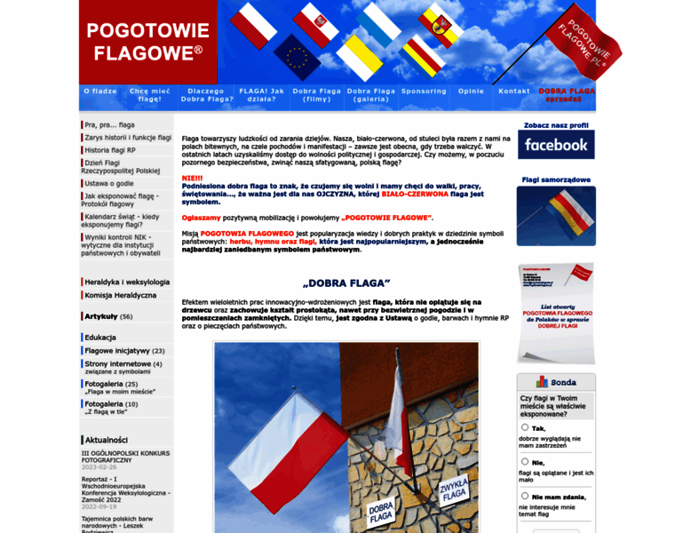 Pogotowieflagowe.pl thumbnail