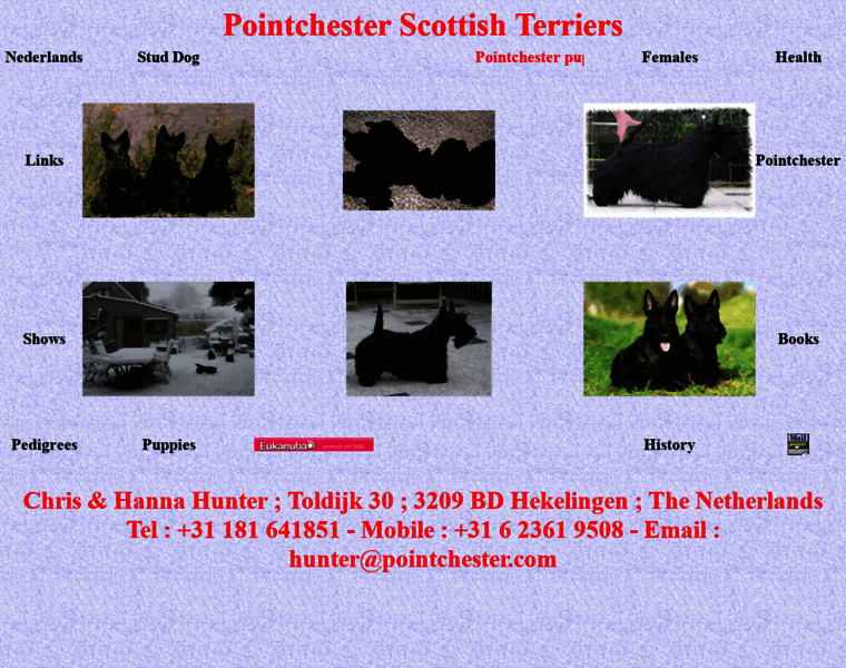 Pointchester.com thumbnail