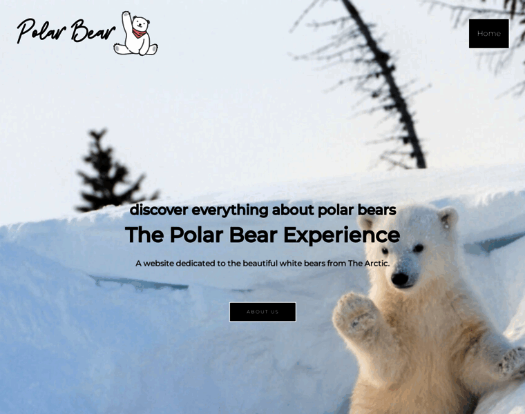 Polarbear-experience.com thumbnail