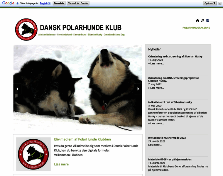 Polarhund.dk thumbnail