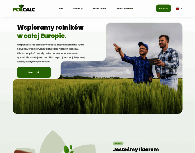 Polcalc.pl thumbnail