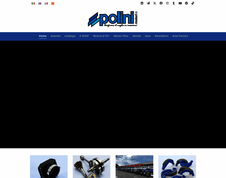 Polini.com thumbnail