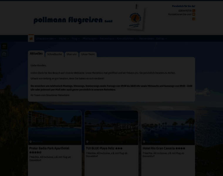 Pollmannflug.de thumbnail