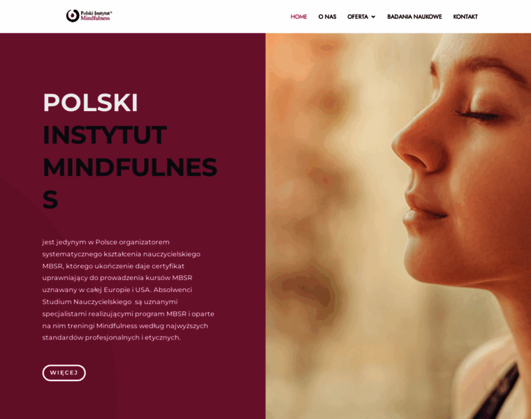 Polski-instytut-mindfulness.pl thumbnail