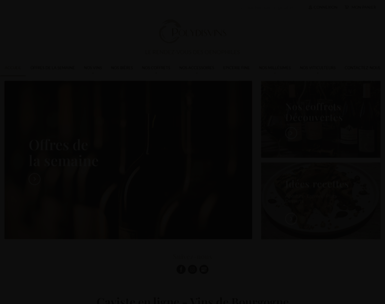 Polydisvins.fr thumbnail