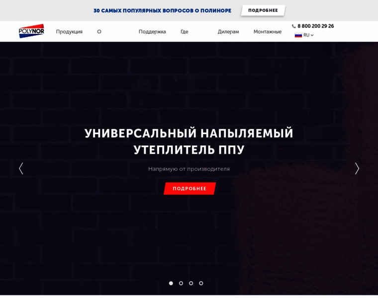 Polynor.ru thumbnail