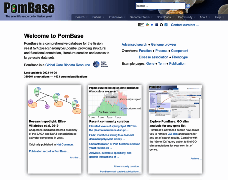 Pombase.org thumbnail