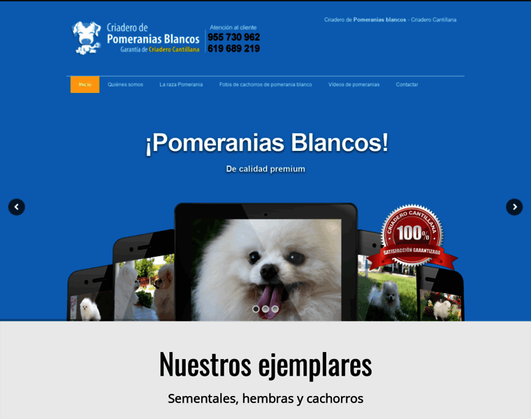 Pomeraniasblanco.com thumbnail