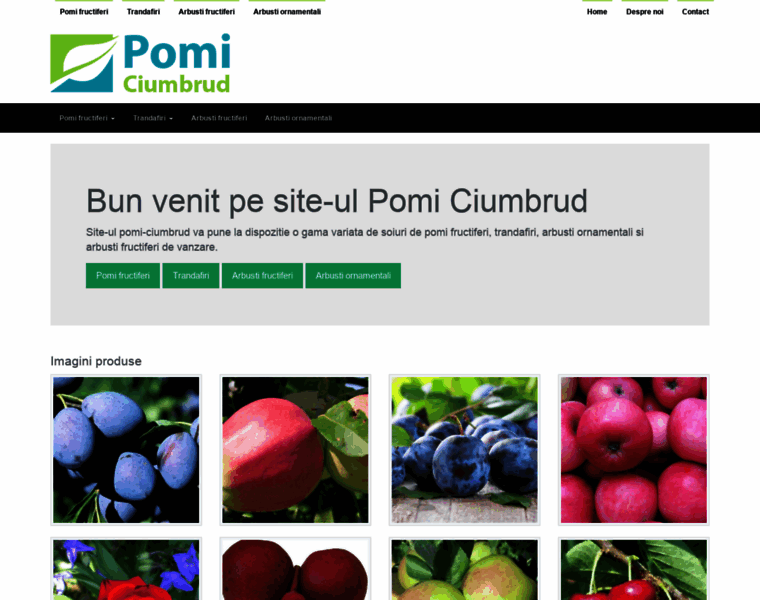 Pomi-ciumbrud.ro thumbnail