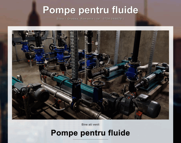 Pompe-fluide.ro thumbnail