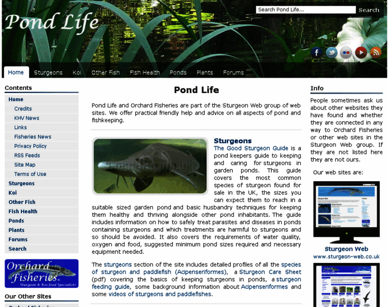 Pond-life.me.uk thumbnail