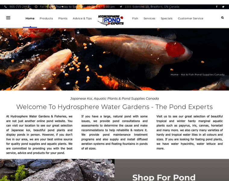 Pondexperts.ca thumbnail Pondexperts.ca thumbnail